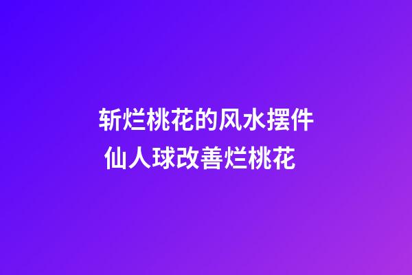 斩烂桃花的风水摆件 仙人球改善烂桃花